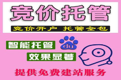 SEM代运营效果评估：数据说话的营销策略